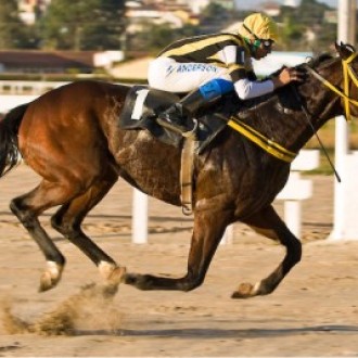 Tarumã – 20/06/2008