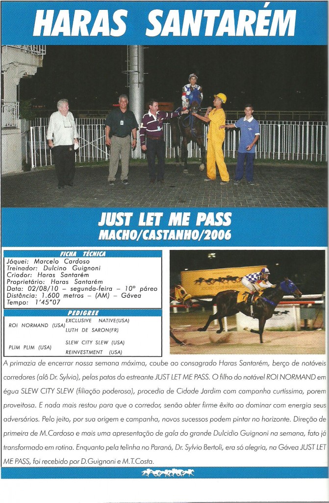 Just Let Me Pass_02.08.2010