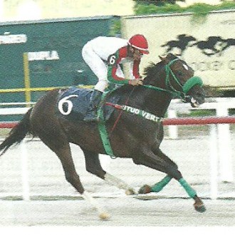 Gávea – 14/02/2011