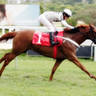 PRIMEIRO PRODUTO DE PIONEERING ESTRÉIA COM VITÓRIA NA GÁVEA – Domínio de Killing Joke na P.E. Empeñosa, a 1ª da Geração 2010 nesta temporada no Hipódromo da Gávea – 15/12/2012