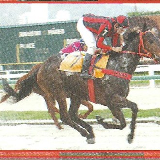 Gávea – 28/07/2012 – MAGISTRA