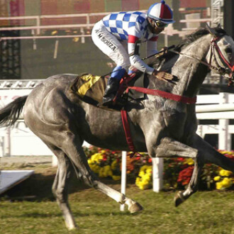 Martagón, Genial e Ditado do Park debutam vitoriosamente – Cidade Jardim – 26/05/2012