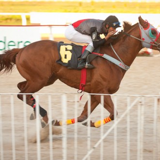 Tarumã – 19/10/2012 – MERIGGIO