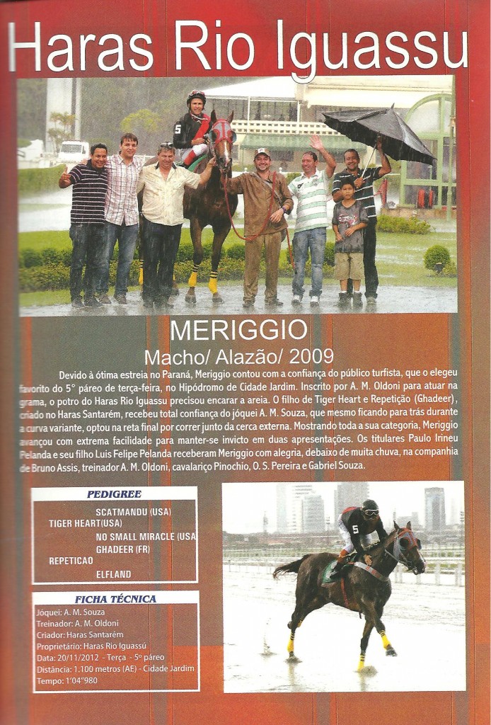 Meriggio_novembro2012