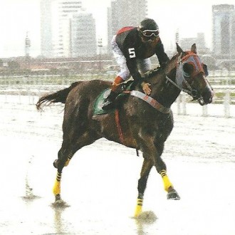 Cidade Jardim – 20/11/2012 – MERIGGIO