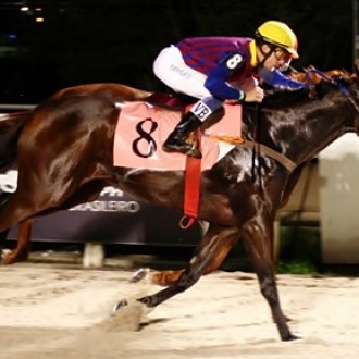 No último pulo, Mirabile Visu bate Pacific Girl na P.E. Hypanis – 25/03/2013