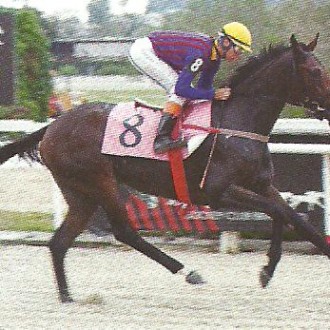 Gávea – 23/03/2012 – MIRABILE VISU