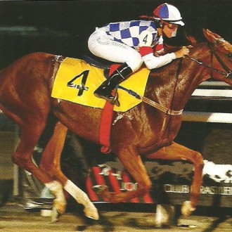 Cristal – 10/05/2012 – SUN WORLD