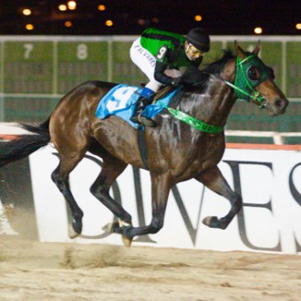 Tarumã – 29/10/2013 – MUCURIPE