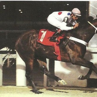 Cidade Jardim – 19/08/2013 – MÁS MUCHO MÁS