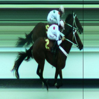 Más Mucho Más, “de galopito, no más” – 24/11/2012