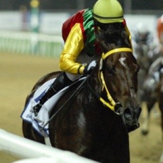 Dubai – 31/01/2008 – New Freedom