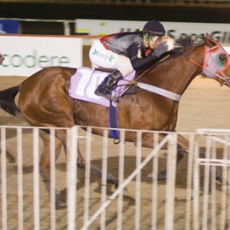 Tarumã – 27/08/2013 – NIMBÉE