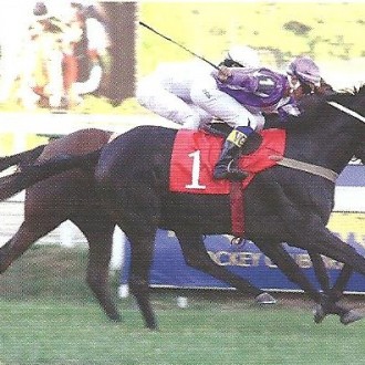 Gávea – 15/03/2014 – NAMELY