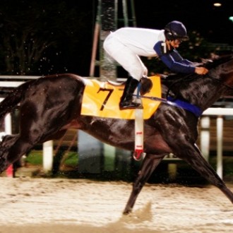 26/12/2011- Netbook deleta os adversários