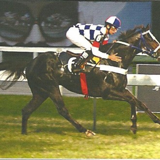 Gávea – 20/04/2013 – NIP AND TUCK