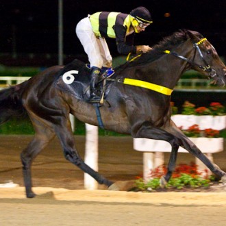 TARUMÃ –  26/02/2010 – NOBLESSE NOIRE