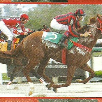 Gávea – 28/07/2012 – OLYMPIC TIGER