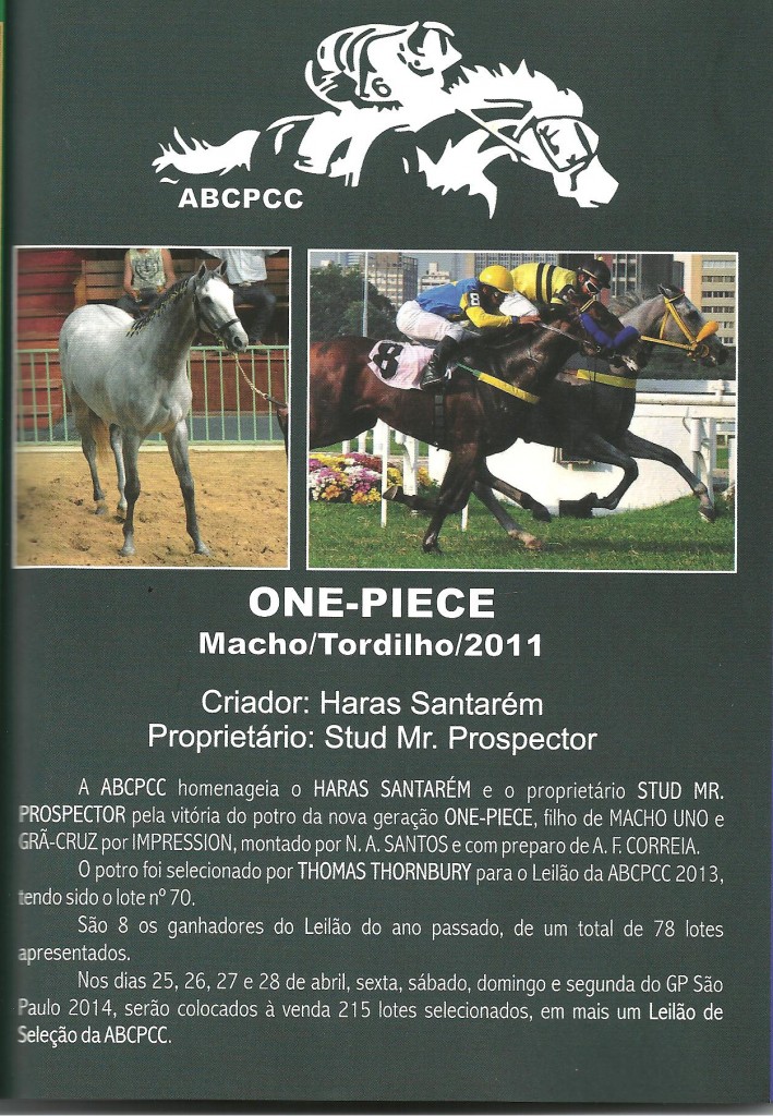 ONE-PIECE - homenagem ABCPCC