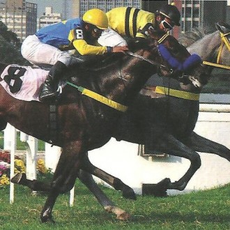 Cidade Jardim – 29/03/2014 – ONE-PIECE