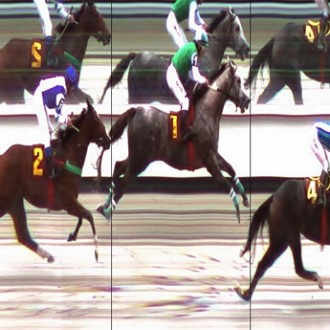 ORZUELA, CRIAÇÃO HARAS SANTARÉM, GANHA A PROVA ESPECIAL ELAMIUR – 24/05/2014