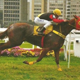 Cidade Jardim – 15/06/2013 – PRINCESS HARBOUR