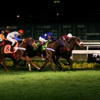 CRIOULA DO HARAS TRIBUTO À ÓPERA CRIADA NO HARAS SANTARÉM EM REGIME DE PENSIONATO GANHA PROVA ESPECIAL TIROLESA – A Prova Especial Tirolesa é de Queen Of Night – 04/08/2013