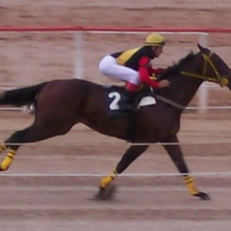 TARUMÃ –  28/02/2010 – HARAS BELMONT CLASSIFICA SEUS DOIS PRODUTOS RECRIADOS NO HARAS SANTARÉM NA FINAL DO XVIII TURFE PARANAENSE