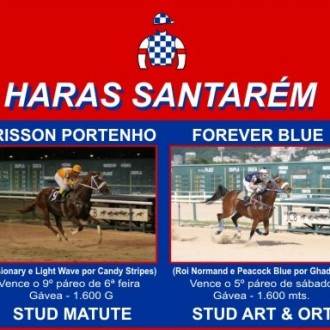 Gávea – 22/12/2005