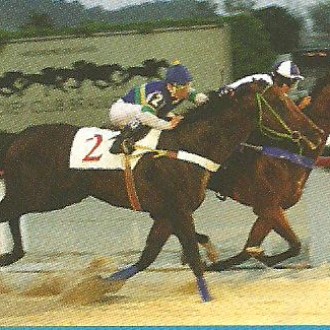 Gávea – 12/02/2011