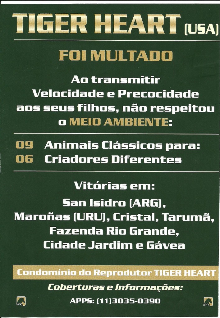 TIGER HEART - texto MULTADO