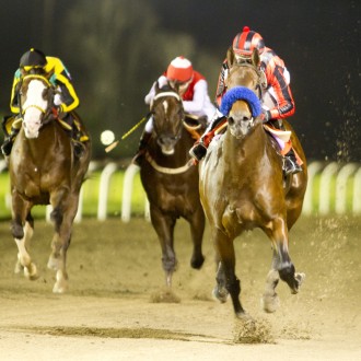 Argentina: “tinindo”, Tiger Woods vence a segunda consecutiva – 30/05/2012