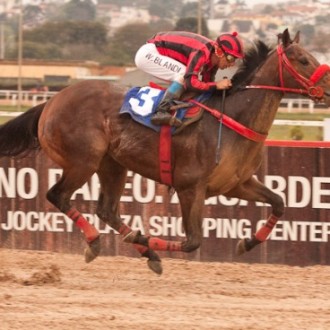 TIGER WOODS ESBANJA CATEGORIA E FICA A 1 DÉCIMO DO RECORDE EM PREPARATÓRIA PARA O VELOCIDADE DO GP PARANÁ  Tarumã – 09/09/2011