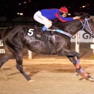 Tarumã – 01/04/2011