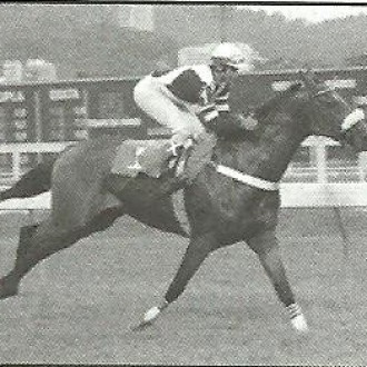 GÁVEA – 09/03/2012 – THIS AND THAT