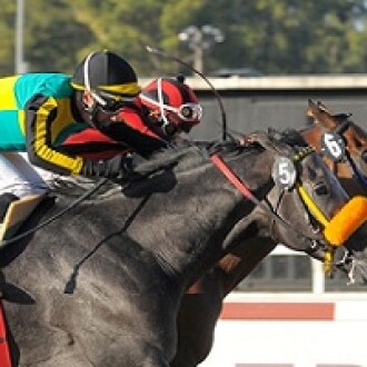 Tiger Woods, do Haras Regina, tira 2º em listed , em Palermo