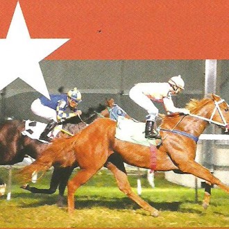 Cidade Jardim – 09/04/2012 – TOP HEART