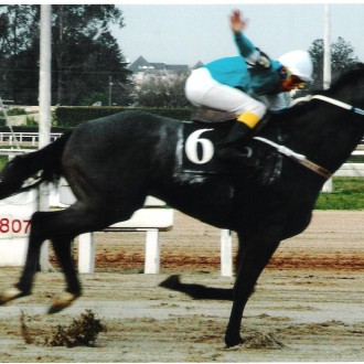 Tarumã – 31/08/2007
