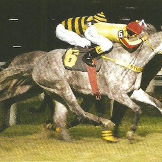 Cidade Jardim –  19/09/2011