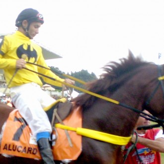 Alucard (Brz) – Criação Haras Santarém – Campeão do GP. Paraná Gr.1 – 2007 !!!