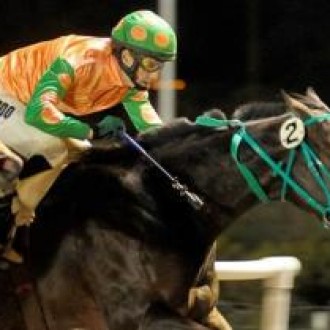 Tiger Woods tira 2º em Clássico em San Isidro