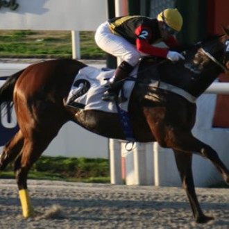 PENSIONISTA RECRIADO NO HARAS SANTARÉM PARA O HARAS BELMONT VENCE CLÁSSICO E BATE RECORDE DOS 1200 METROS EM MAROÑAS