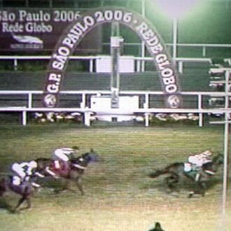 BUCANEER – de propriedade do HARAS BELMONT LTDA, foi recriado pelo Haras Santarém