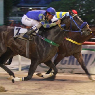 PENSIONISTA DO HARAS SANTARÉM, FILHO DE PARME, GANHA GP PRESIDENTE VARGAS (G2)