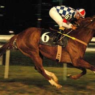 Cidade Jardim – 07/08/2005