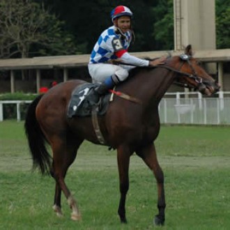 28/11/2004 – Endless Beauty leva a melhor no  confronto feminino de gerações