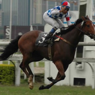 Vitória autoritária de Endless Beauty Data: 01/12/2004 – Quarta