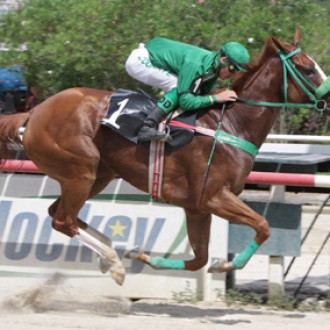 PENSIONISTA DO HARAS SANTARÉM GANHA PROVA ESPECIAL JOÃO VIEIRA NA GÁVEA