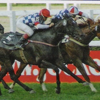 Cidade Jardim – 06/11/2005 – HARAS SANTARÉM EM DOSE DUPLA