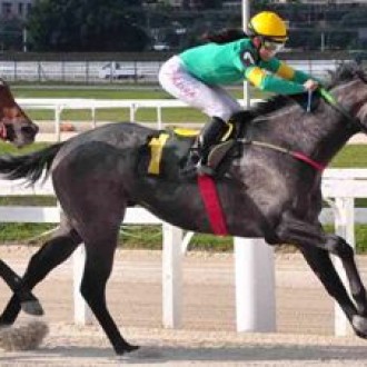 CIDADE JARDIM – POTRO CRIADO EM REGIME DE PENSIONATO NO HARAS SANTARÉM PARA PAULO RODOLFO FISCHER GANHA PROVA ESPECIAL – Gaja Barbaresco confirma o favoritismo na PE Francesco Battista Giobbi – 21/04